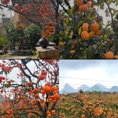 瑶乡饭店 여행 사진