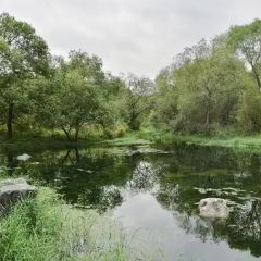 徐忠良傳統定勝糕（塔下街店）張用戶圖片