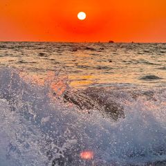 BZK·SEAFOOD User Photo