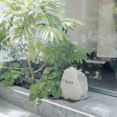 Shin Yuan (West) – Taichung User Photo