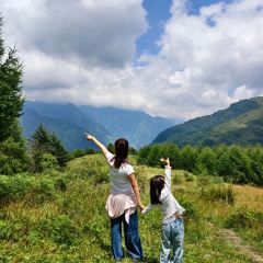 卧龙山中酒寨 User Photo