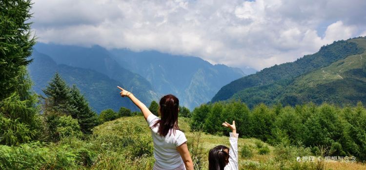 卧龙山中酒寨