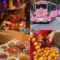 BEN LUO BO CAN YIN User Photo