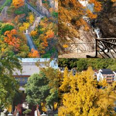 LIN JIA MIN NAN FLAVOR User Photo