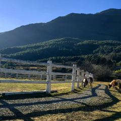 Lijiang Club Med Resorts Amaze Snow Mountain CampTent Restaurant User Photo