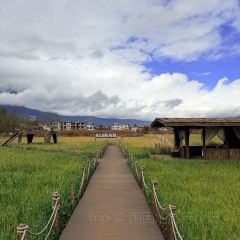 巋然·觀雪山雲海丨曠野星空 度假飯店（白沙古鎮店）·巋然雪山花園咖啡張用戶圖片