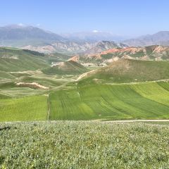伊帆食府地方特色美食 User Photo