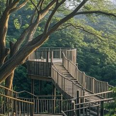 曉小麵張用戶圖片