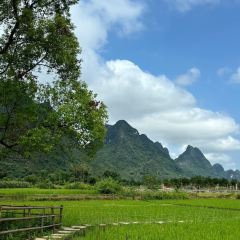 一尺稻田咖啡 User Photo