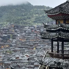 猪圈咖啡屋 User Photo