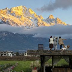 Kuiran Snow Mountain Treehouse Coffee User Photo