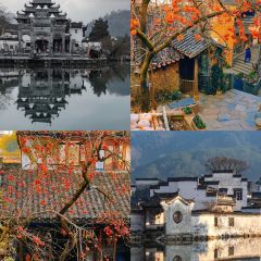 灵山酒酿 User Photo