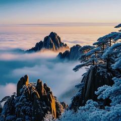 秀嫂挞粿 User Photo