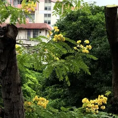 HIBISCUS RESTAURANT User Photo