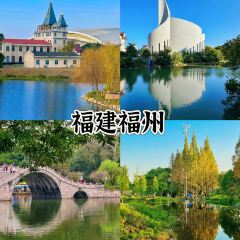 Noodles & Homestyle Dishes 여행 사진