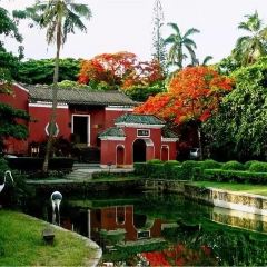 嗲嗲的椰子鸡·海南火锅(亚龙湾博后村店) User Photo