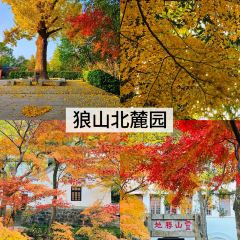 兰姐海鲜平价海鲜·南通土菜(桃坞路店) User Photo