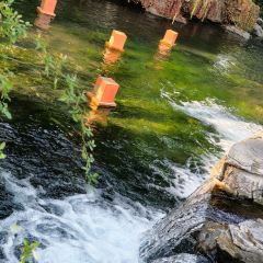 JIN CHUN XI User Photo