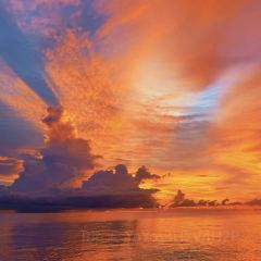 BZK·SEAFOOD User Photo