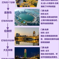 AWU YELLOW RIVER COMMON CARP User Photo