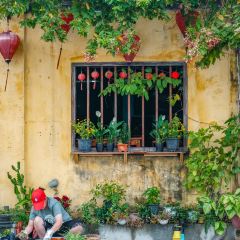 Cong Caphe (Hoi An) User Photo