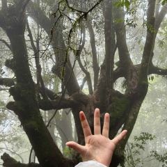 馋姐妹清汤牛肉早晚点 User Photo