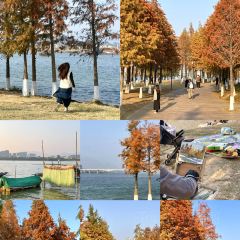 BAI YU DING DONG GUA ZHONG User Photo