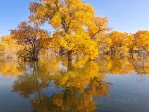 Tianjingmaoniuzhuanggu Soup (haohua)