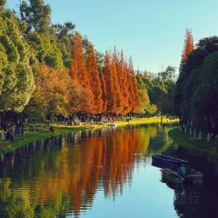 AI SHANG JUN User Photo