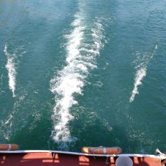 资兴桔园农家民宿 User Photo