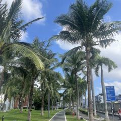 SNT&TEA 여행 사진