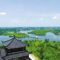 杨氏豆花 User Photo