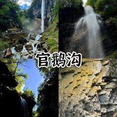 阿妈家特色藏餐(九寨沟店) User Photo
