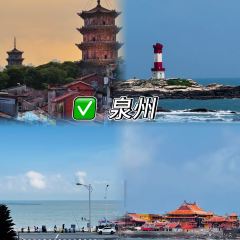 WEIDAOJIA MAMACAI User Photo