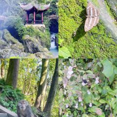 牛满堂土菜馆·跷脚牛肉(峨眉店) User Photo