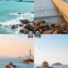 WEIDAOJIA MAMACAI User Photo