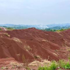 Chongqingxiaotian'e (kaifaqu) User Photo