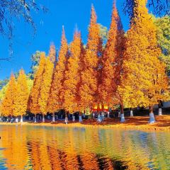 AI SHANG JUN User Photo