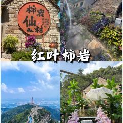 WEIDAOJIA MAMACAI User Photo