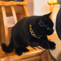 胜利饭店(沈荡店) 여행 사진