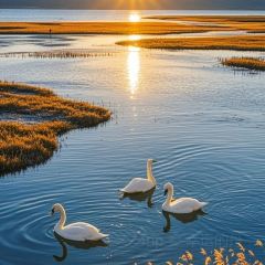 Kamba Nomadic Cafe User Photo