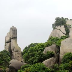 王莊阿咪大牌檔 （省體店）張用戶圖片