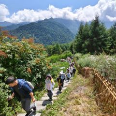 卧龙山中酒寨 User Photo