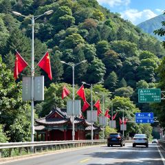 Star Light User Photo