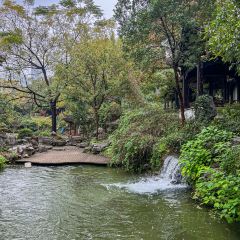 JUBILEE GARDEN User Photo