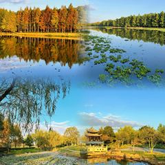 王天顺海苔饼 여행 사진