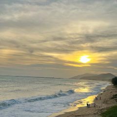 嗲嗲的椰子鸡·海南火锅(亚龙湾博后村店) User Photo