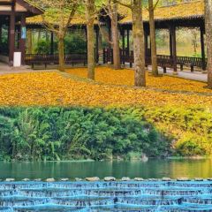 诸暨正宗次坞打面(人民西路店) User Photo