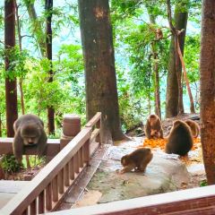 ZHUSANTIANPIYA User Photo