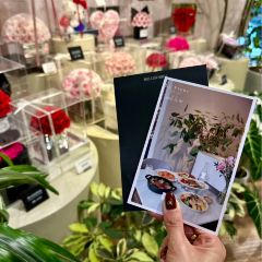 ROIIN用心(嘉兴南湖天地店) User Photo